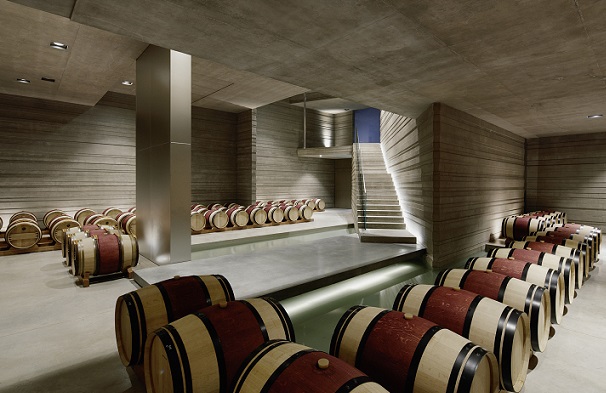 Masseto barrique cellar